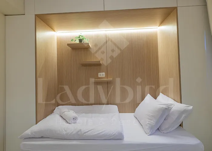 Ladybird - Veranda Highline Daire